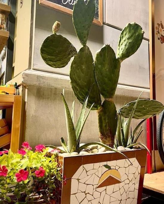 Ferienwohnung La Casa Di Eva Palermo Exterior foto